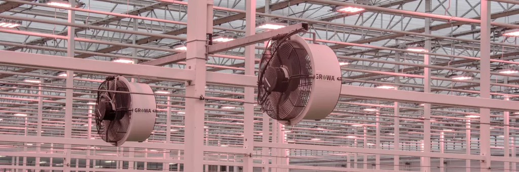 Ventilation de serre : comment bien choisir ? Guide complet 20 Ventilation de serre : comment bien choisir ? Guide complet