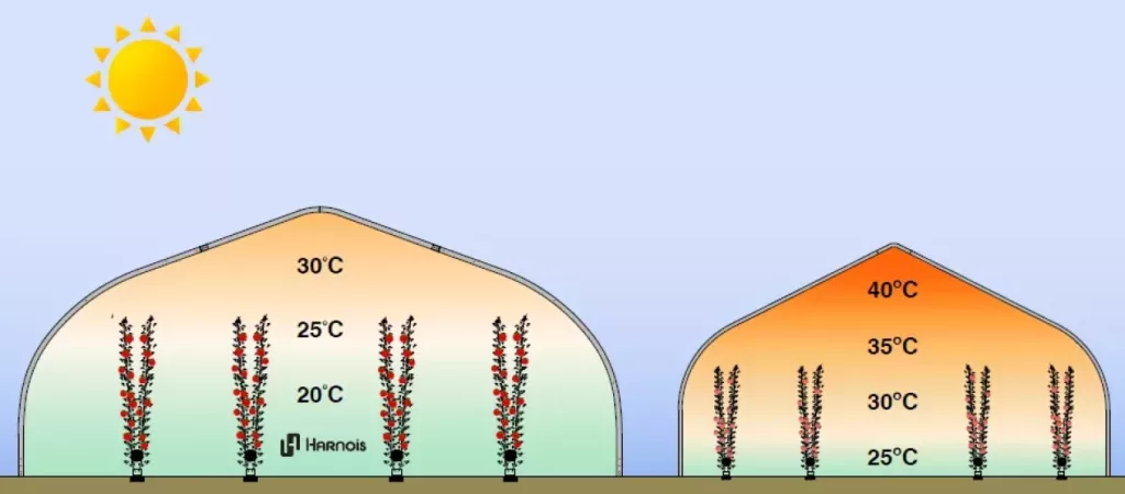 La serre joue un rôle de tampon thermique 1 effet tampon thermique serre — microclimat stable pour vos cultures