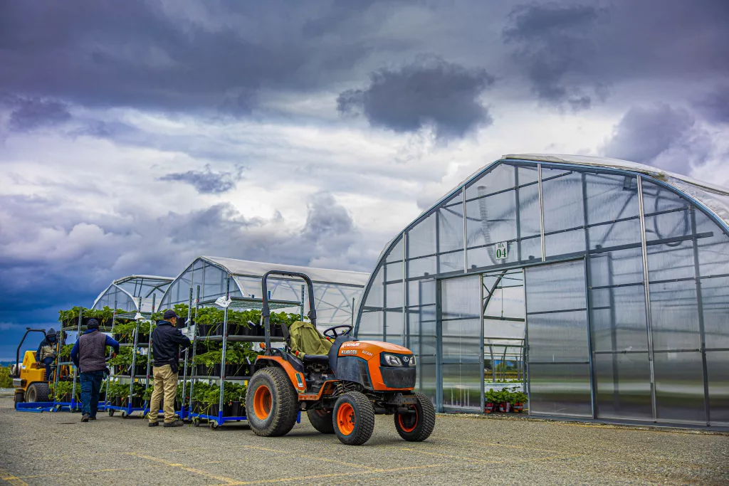 USDA controlled environment crop insurance for greenhouse growers