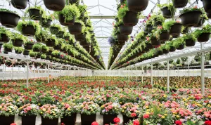 Serres jumelées - Luminosa 6 Luminosa commercial fin Willy Haeck St Remi 2019 web