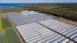 Ovaltech horticole fin exterieur goodyearfarm queenville 2019 2