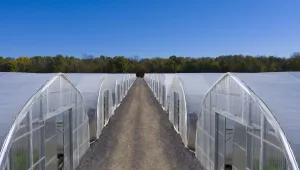 Ovaltech horticole fin exterieur goodyearfarm queenville 2019 4
