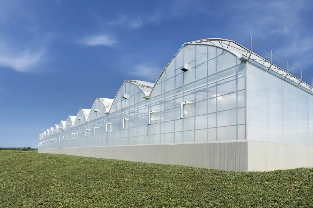 Polyethylene Covered Greenhouse vs. Glass House polyethylene vs glass greenhouse