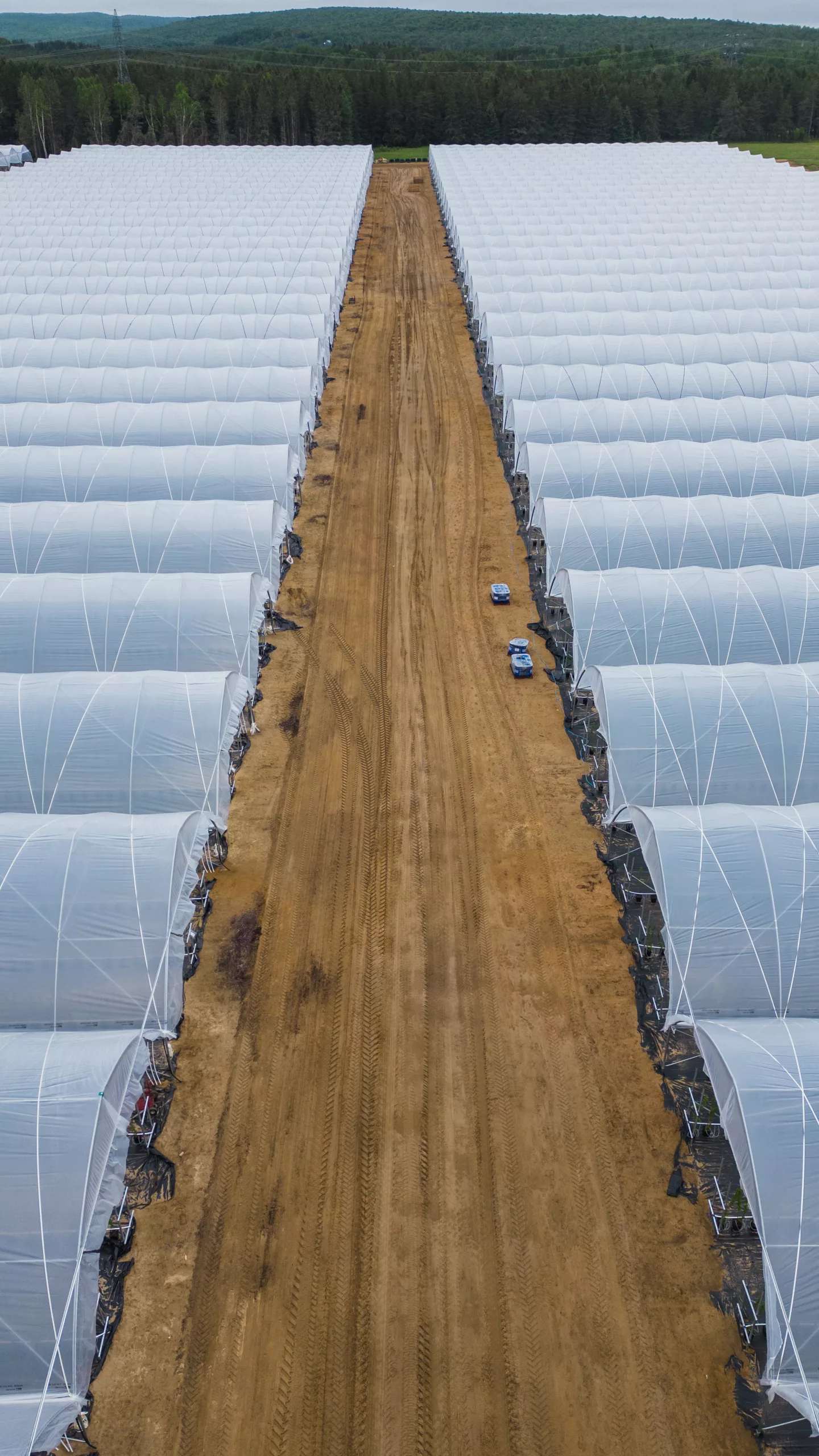 Serres Harnois | Fabricant de Serres Professionnelles au Québec 32 HARNOIS Lac des Ecorces Juin 2024 EDIT 38 scaled