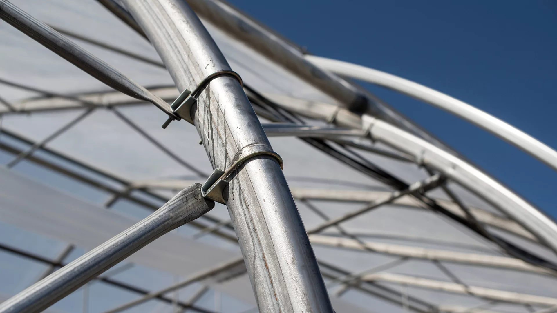 gothic arch greenhouse 