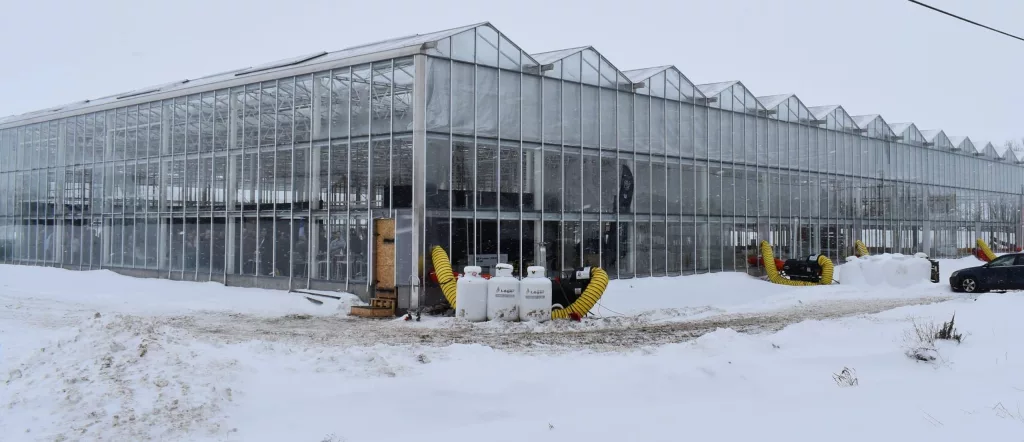 Ferme Petit Brulé - Extérieur serre