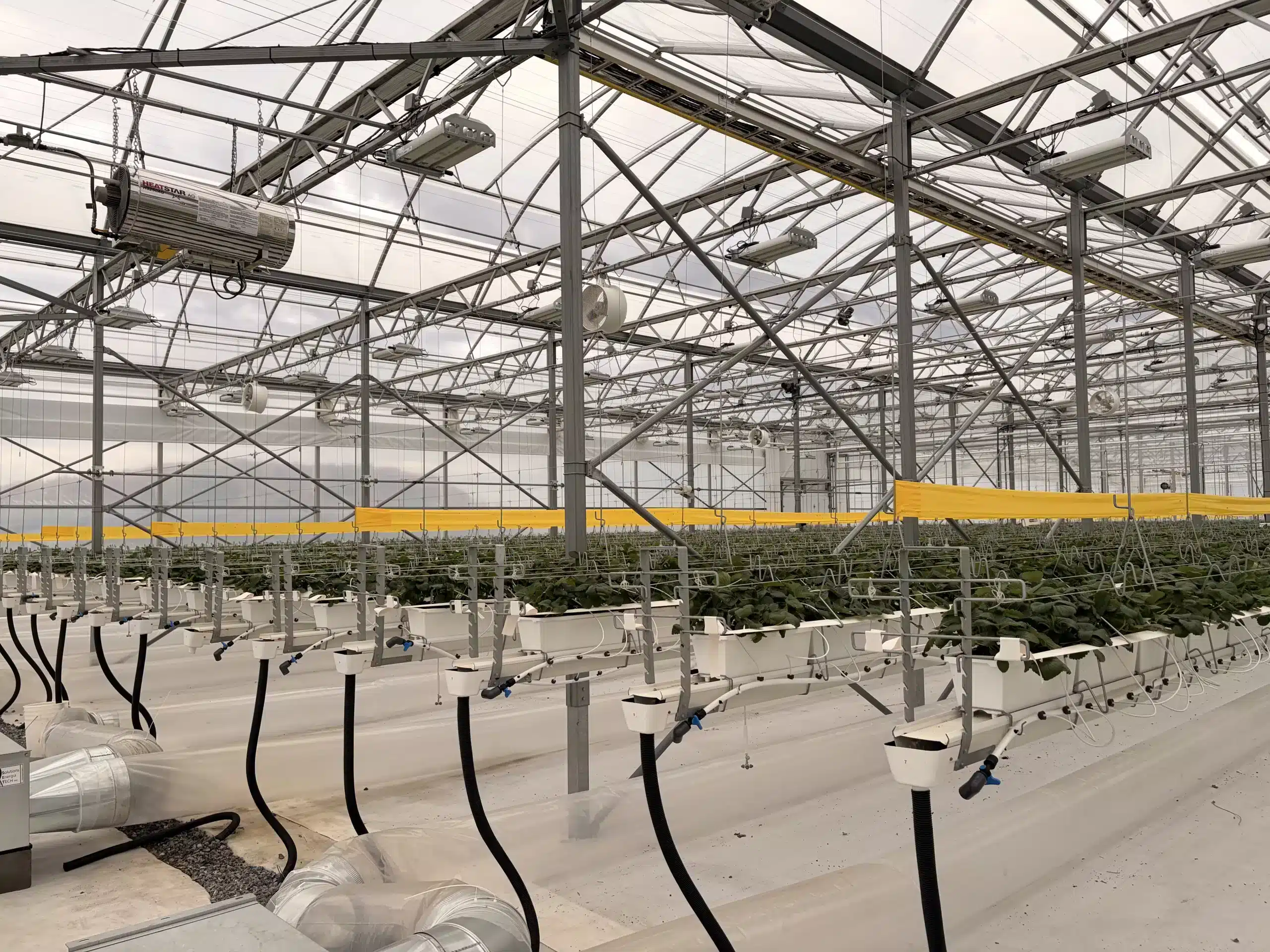 Farm Business Accelerator