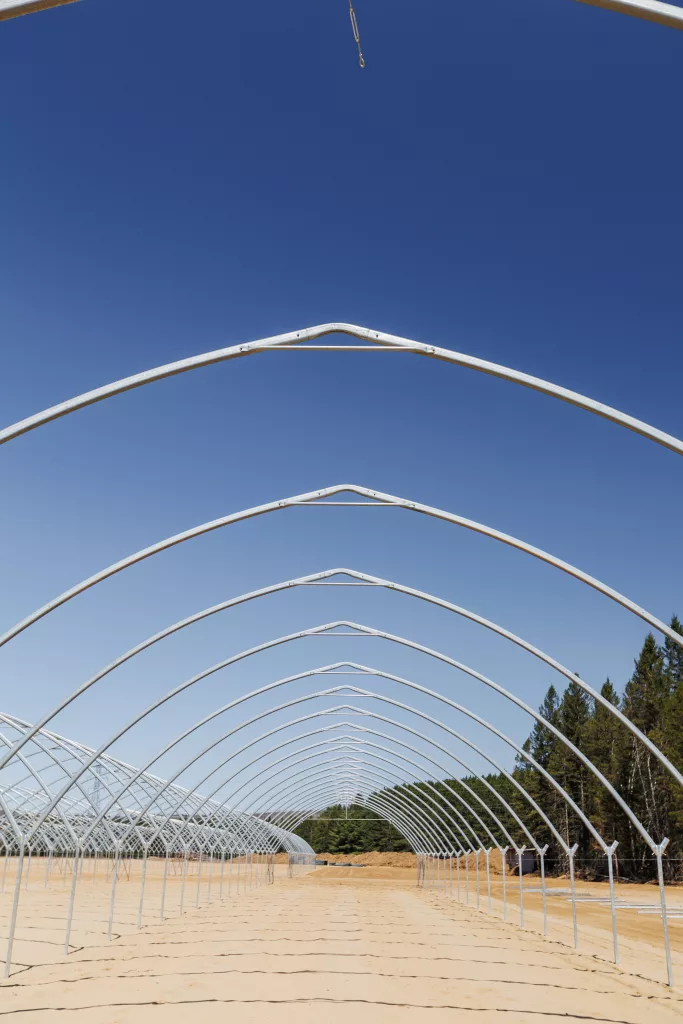 high tunnel greenhouse