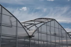 Serres jumelées - Luminosa 4 Luminosa horticole structure willyhaeck 2019