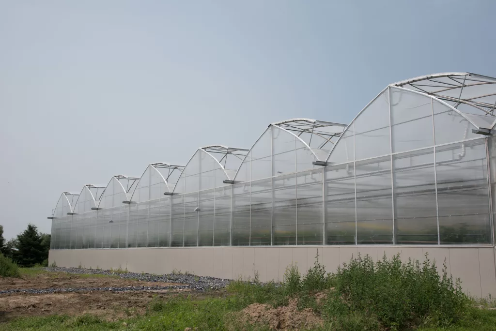 Luminosa ornemental exterieur serresexcel stdamase 2019 2