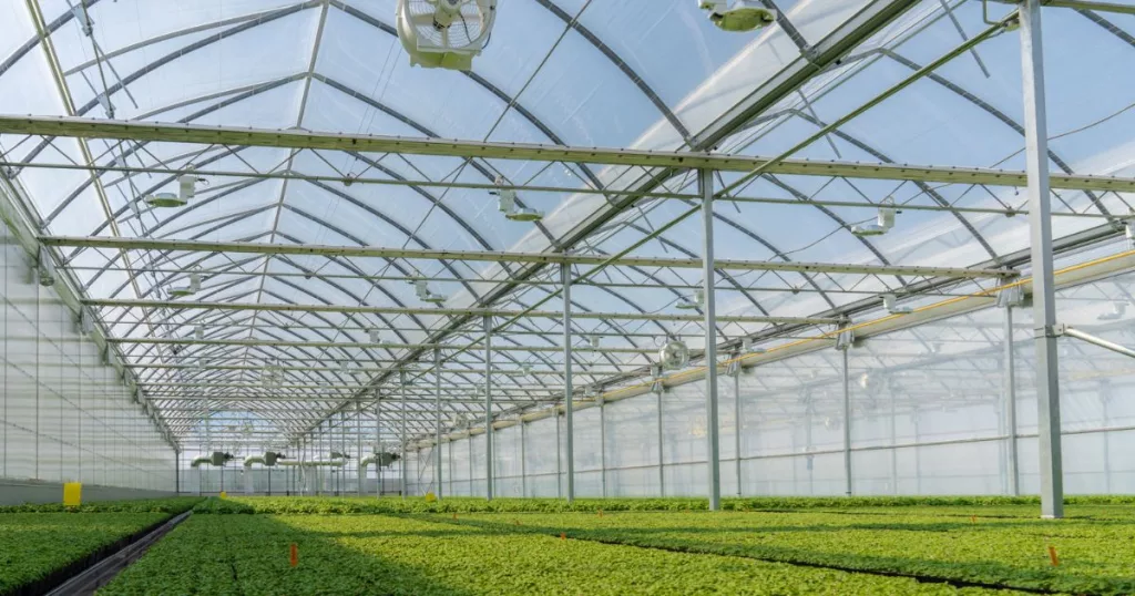 Harnois_Commercial_greenhouses