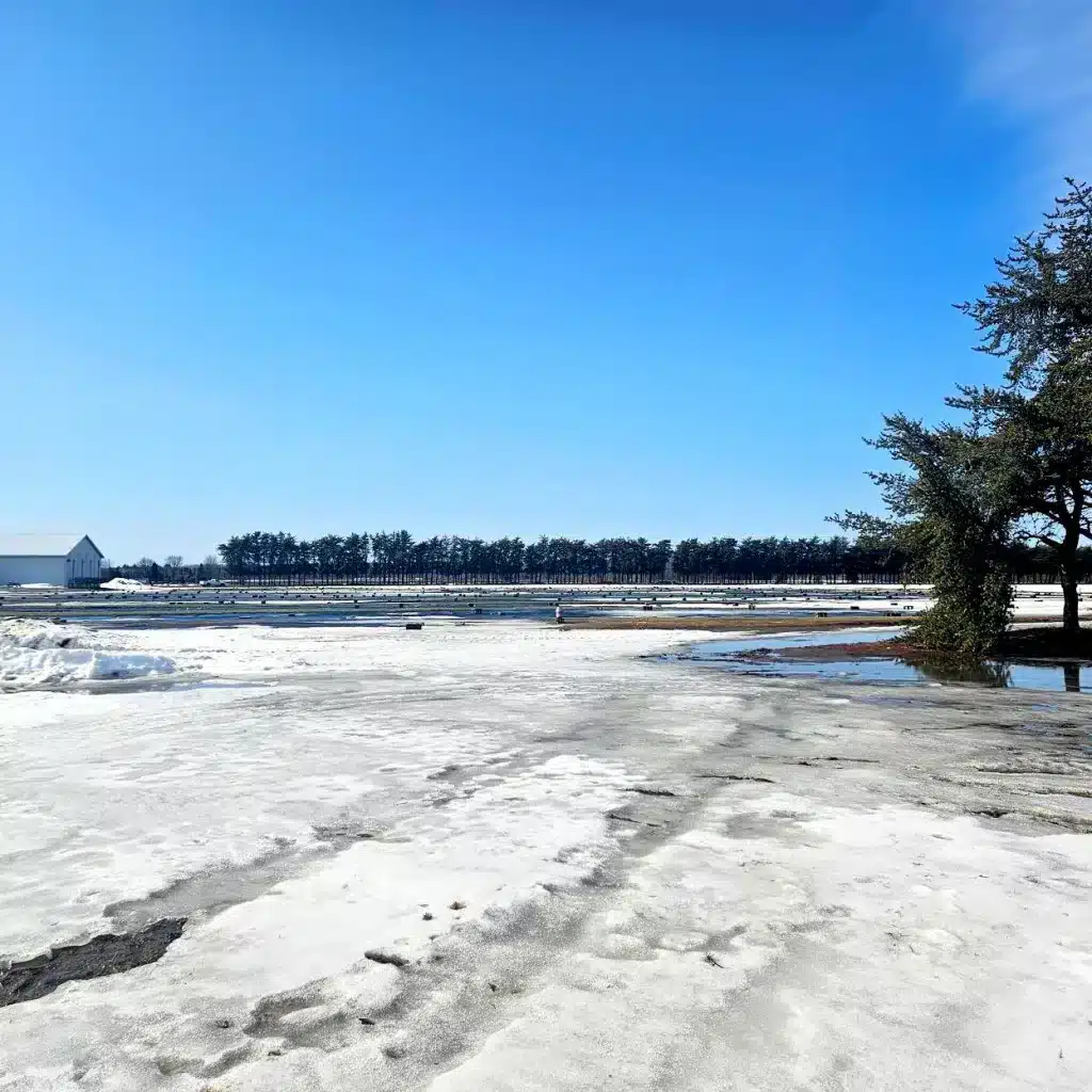 Préparer une serre pour l’hiver en quelques étapes 8 serre pour l'hiver