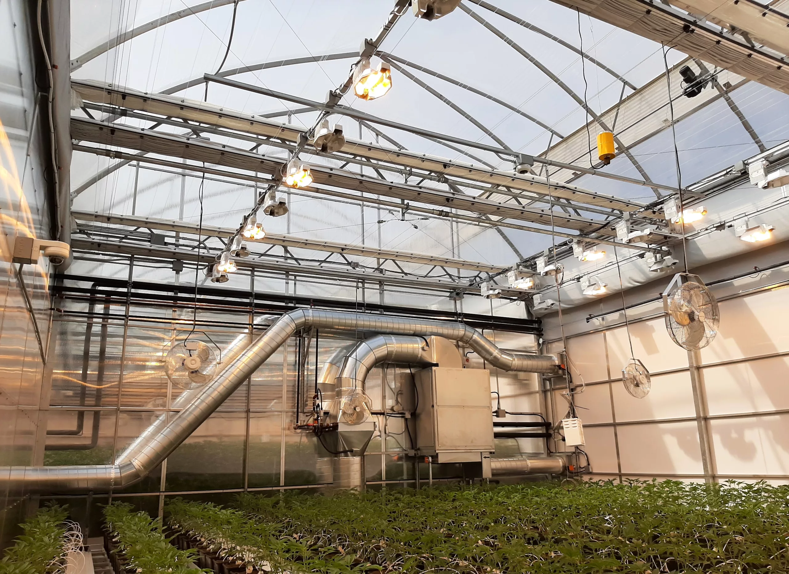 Proven Commercial Cannabis Greenhouse Solutions 2 Commercial Cannabis Greenhouse - Equipment
