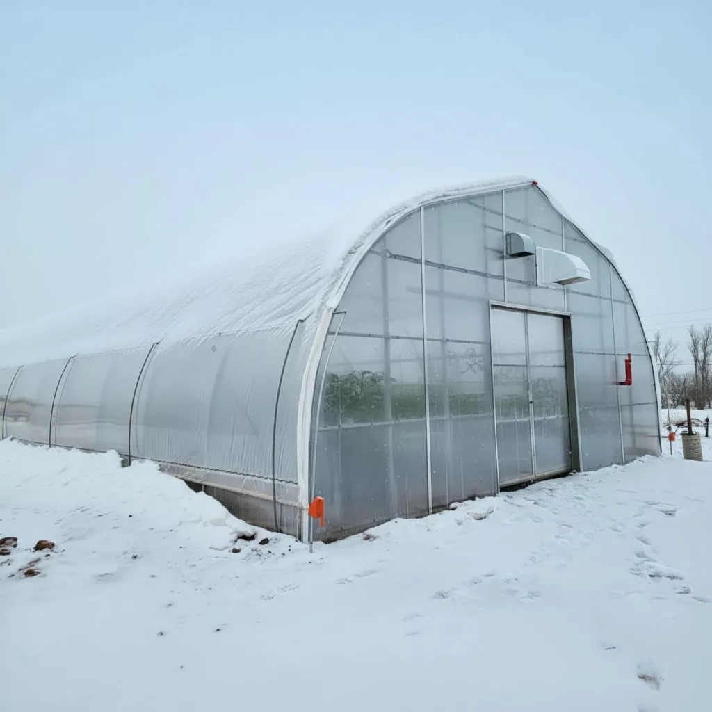 How to Inspect Your Greenhouse Polyethylene: A Complete Seasonal Guide 2 gemini 2.5 flash image make it perfect 0