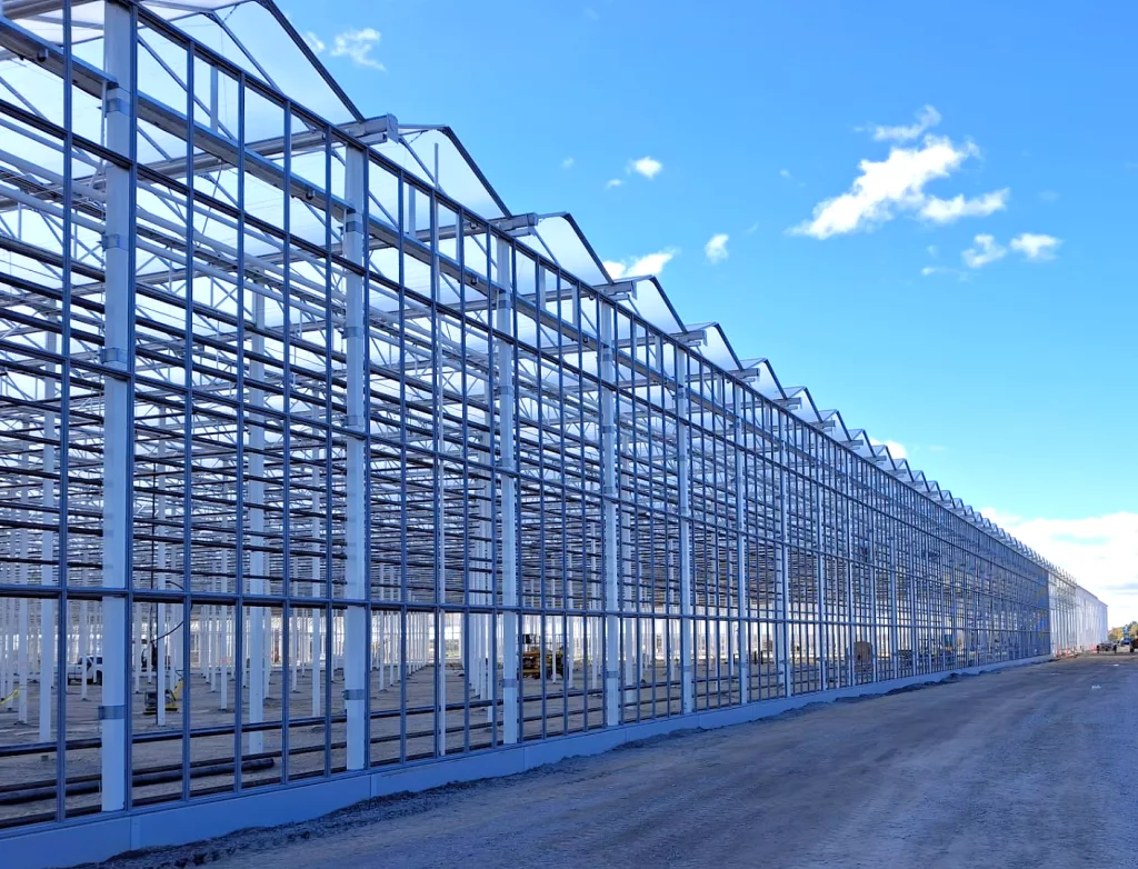 Vermax Commercial Glass Greenhouse