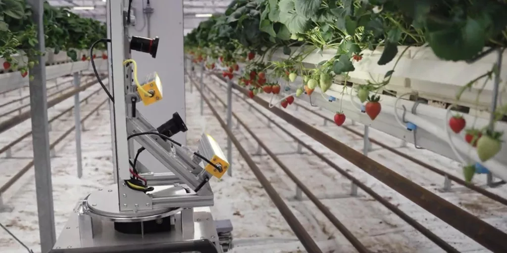 Greenhouse automation system – climate control and sensor technology in commercial greenhouse