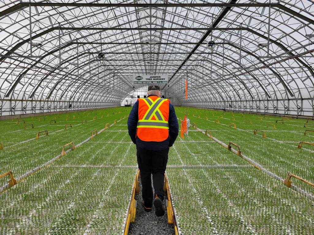 Services - Commercial greenhouse installation by Harnois