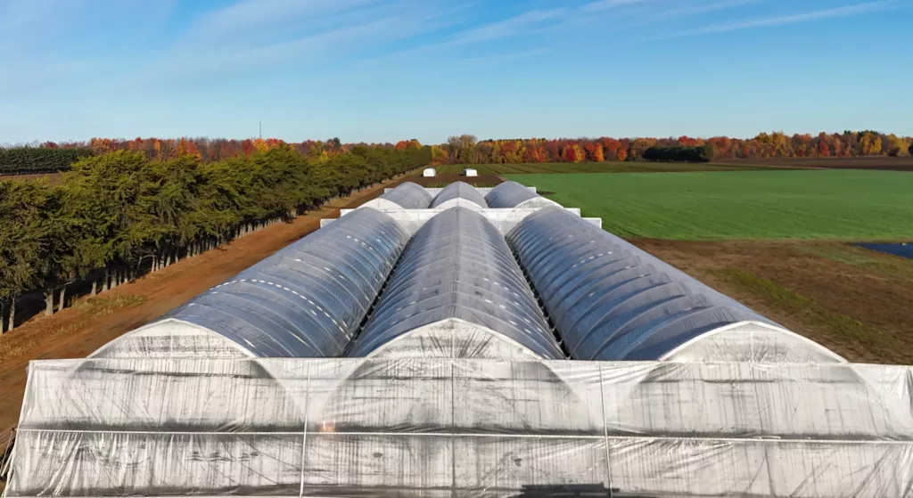 Serres grands tunnels - TunnelPro Plus 2 Portes enroulables sur serres grands tunnels pour ventilation naturelle