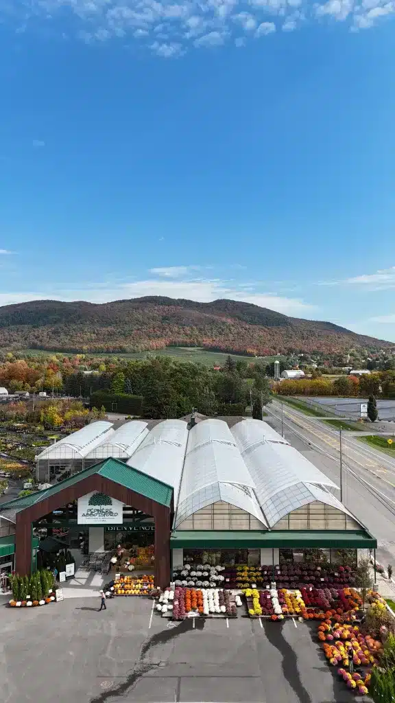 Greenhouse Orientation: Key Considerations 3 Abbotsford Garden Center - Greenhouse