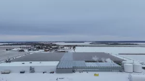 Serre en verre de type venlo - Vermax 5 DJI 20251204011816 0030 D