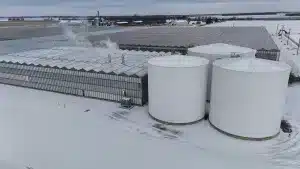 Serre en verre de type venlo - Vermax 6 DJI 20251204012705 0037 D