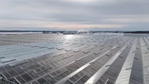 Serre en verre de type venlo - Vermax 8 DJI 20251204014426 0060 D