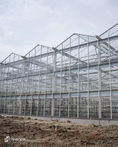 Serre en verre de type venlo - Vermax 11 Harnois Greenhouses Vermax 03
