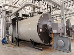 Serre en verre de type venlo - Vermax 12 IMG 0616