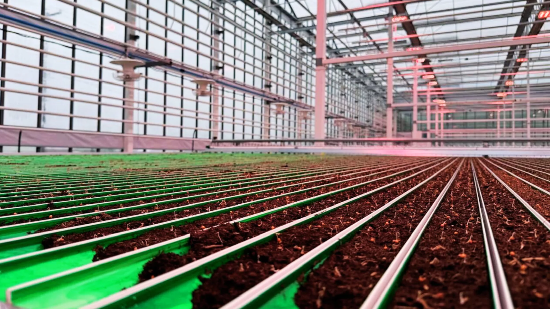 Automatisation en serre : 7 stratégies pour réduire vos coûts de main-d'œuvre 4 vegpro international - innovative greenhouse - Automation of Key Cultivation Functions