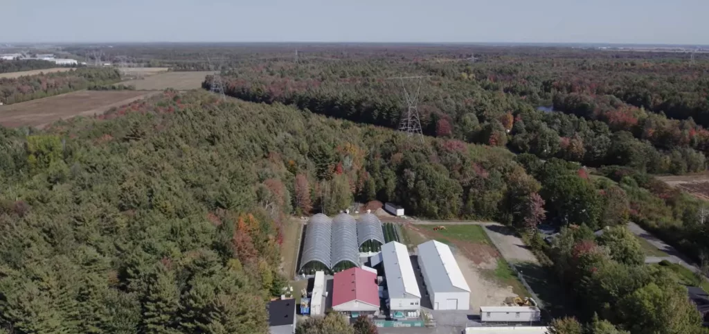 Harnois Tunnel Pro Plus cannabis high tunnel greenhouse structure detail – 4400 lb straps and screwed piles anchors