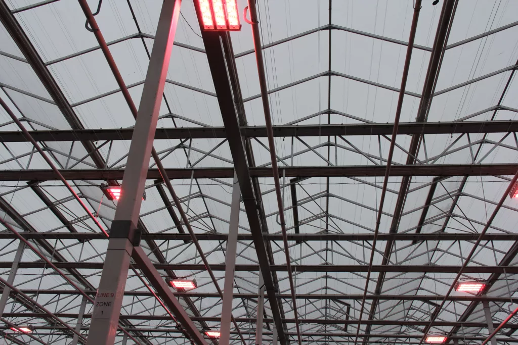 Gutter-connected greenhouse structure – VegPro facility
