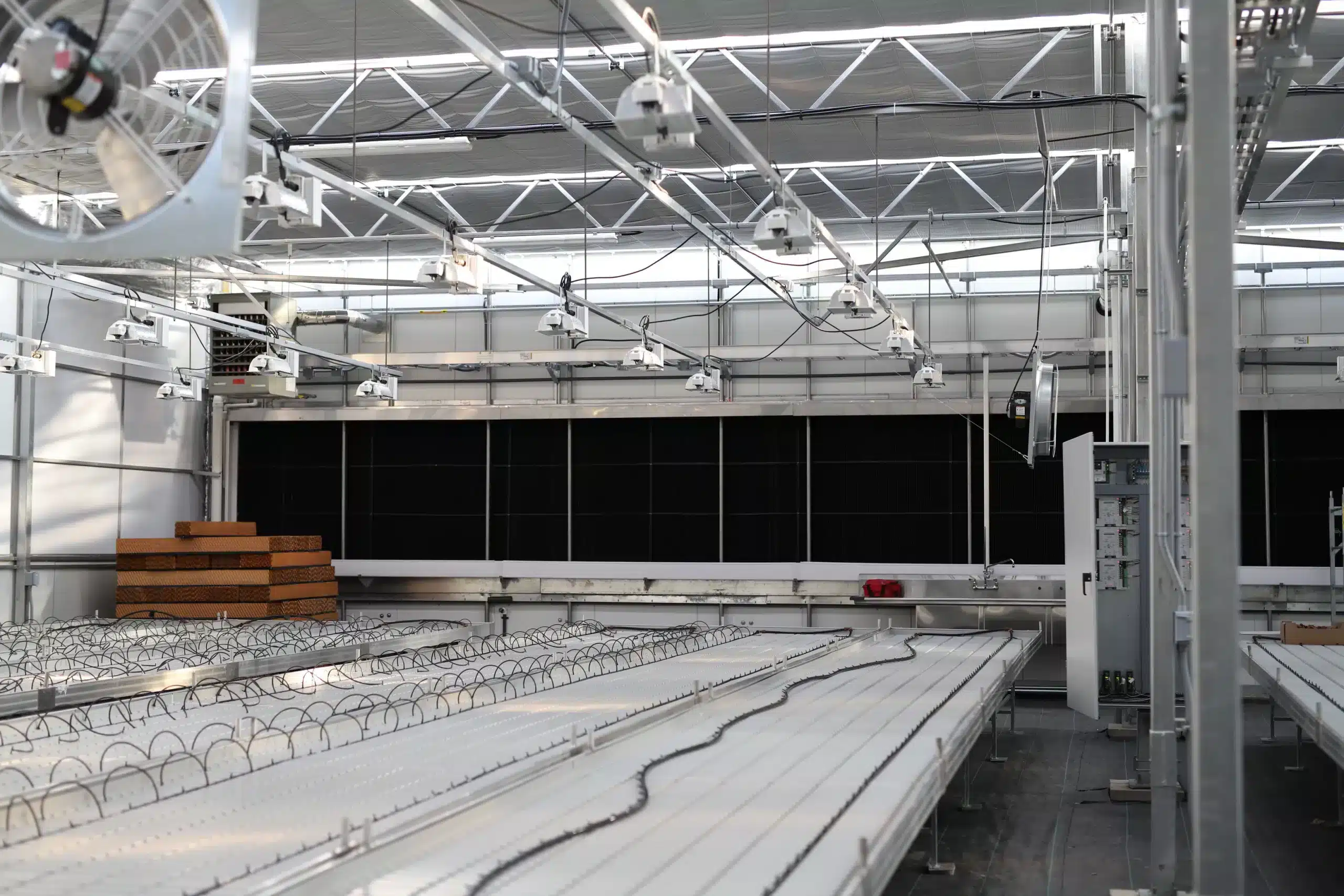 Tables de culture en serre — Durables et performantes 3 Luminosa_cannabis_technique_tables_murets_phymed_BC_2019_