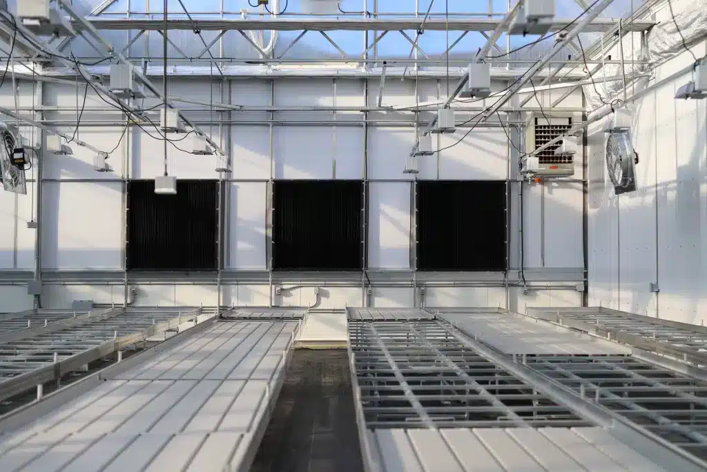 Luminosa cannabis technique tables murets phymed BC 2019 2 1