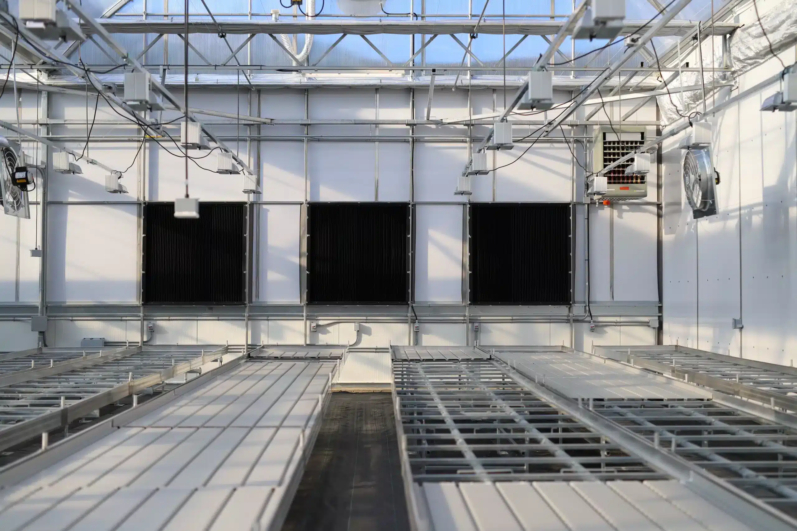 Proven Commercial Cannabis Greenhouse Solutions 1 Commercial Cannabis Greenhouse - Structure