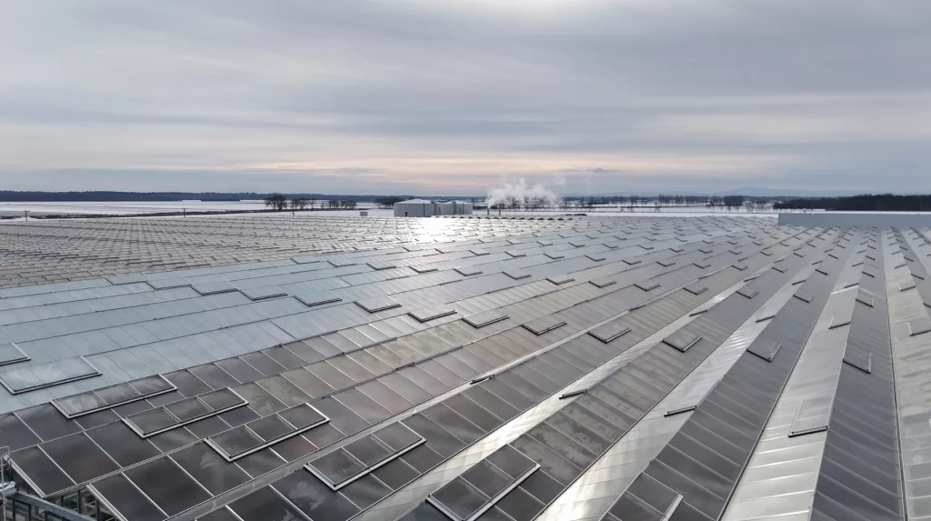 Trends 2025 in greenhouse
