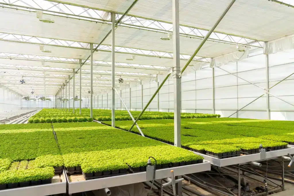 Subvention - Le Canada investit 750 M$ dans l'agriculture en environnement contrôlé 1 Stratégie de sécurité alimentaire - Investissement de 750 millions de dollars du gouvernement du Canada dans l'agriculture en environnement contrôlé et la production en serre