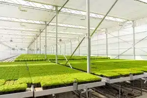 Stratégie de sécurité alimentaire - Investissement de 750 millions de dollars du gouvernement du Canada dans l'agriculture en environnement contrôlé et la production en serre