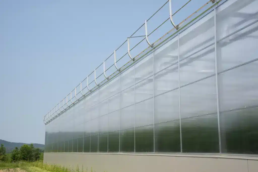 serre jumelée dont les parois latérales sont recouvertes de panneaux de polycarbonate