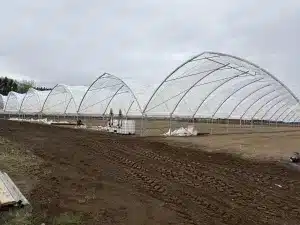 Nouvelle production sous tunnel à la fraisière Durette